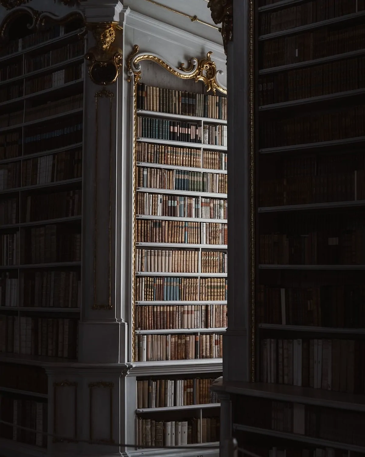 A dark panelled library with tall bookcases and one window