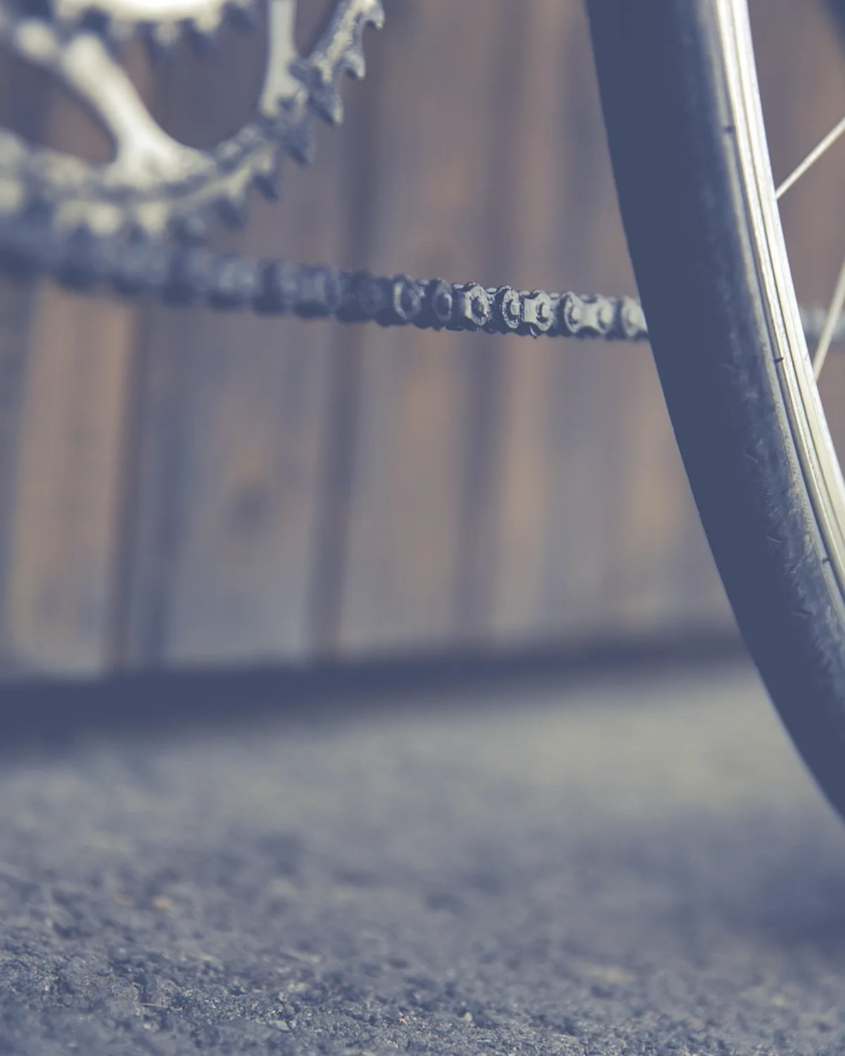 A bicycle chainring, chain and wheel photographed against a timber wall